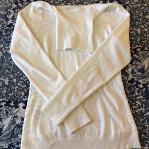 The Limited Ivory Turtleneck